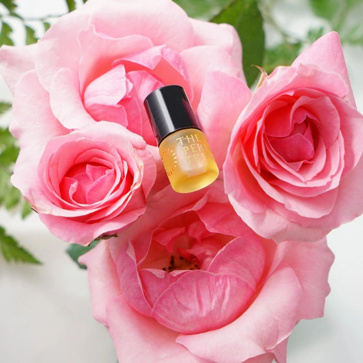 Luxury perfume oil placed within pink rose bouquet, representing floral fragrance notes.